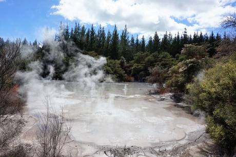 Nouvelle-Zélande : Rotorua / wai-o-tapu