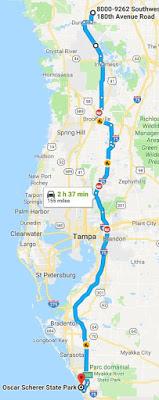 La fois où j'ai passé les Fêtes dans le sud (6)