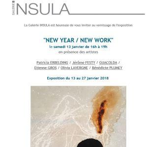 Galerie INSULA   « New Year/ New Work »  13/27 Janvier 2018