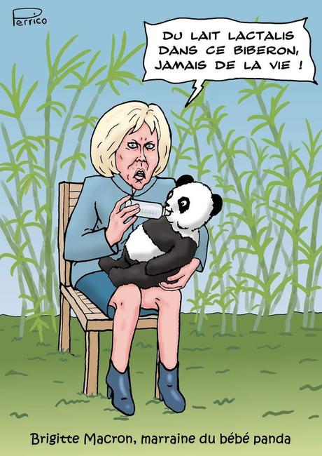 Brigitte Macron, la marraine du bébé panda
