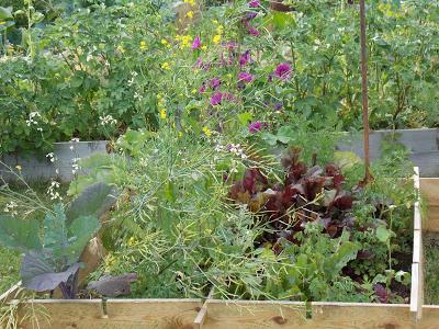 Pourquoi produire sa nourriture : 15 avantages