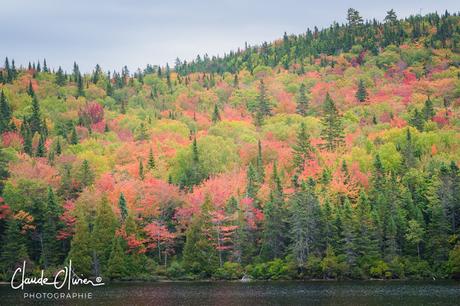 Voyage au Canada: Dernière partie: Montréal et environs