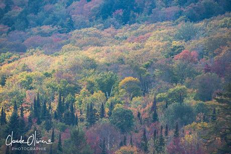 Voyage au Canada: Dernière partie: Montréal et environs