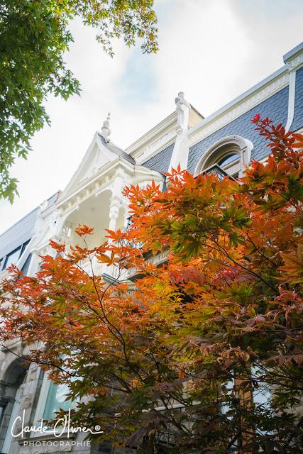 Voyage au Canada: Dernière partie: Montréal et environs