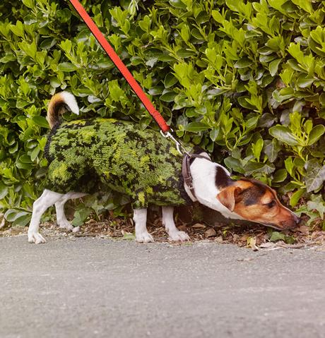 Elle tricote des pulls pour le camouflage urbain