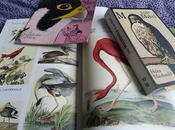 plumes écailles dernièrement pour Mabel grandes marées)