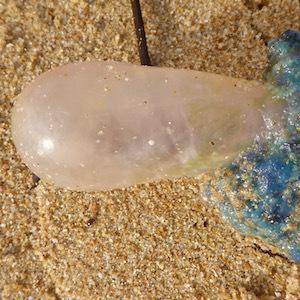 Le retour de la galère