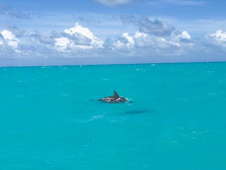 Voyage: Une semaine au Mexique Voyage: Une semaine au Mexique