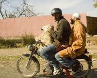 Les Marocains savent se débrouiller (avec le système D) !