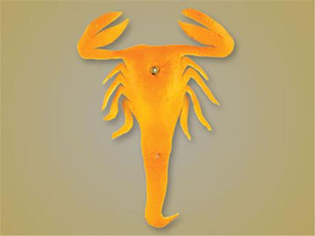 De l’origami animale dans des peaux d’agrumes