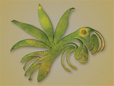 De l’origami animale dans des peaux d’agrumes