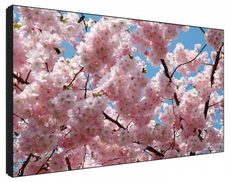 Votez pour les 2018 InAVation Awards ! Sharp — PN-V701