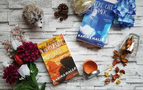 A la poursuite du soleil - Karina Halle