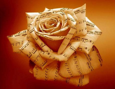 Blonde & Idiote Bassesse Inoubliable*********************The Ooz de King Krule