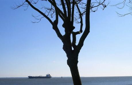 j'écris pour apaiser