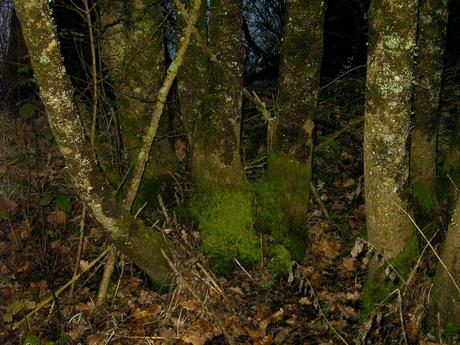 j'écris pour apaiser