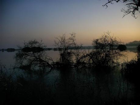 j'écris pour apaiser