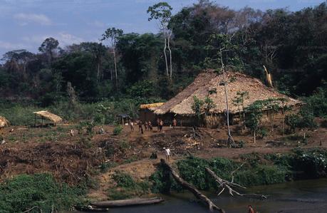Yanomami-brazil039