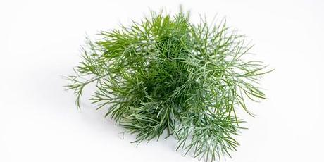 Les herbes aromatiques (4)