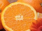 Menu jour mercredi 17/01/18