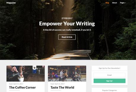14 Thèmes WordPress Magazine pour 2017