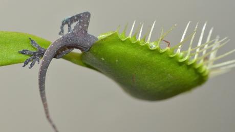 18+ Photos montrant le côté sombre et effrayant de Dame Nature