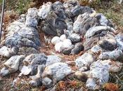 Photos montrant côté sombre effrayant Dame Nature