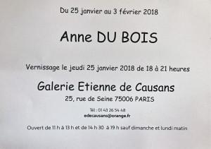 Galerie Etienne de Causans   exposition Anne DU BOIS 25/01 au 03/02/2018