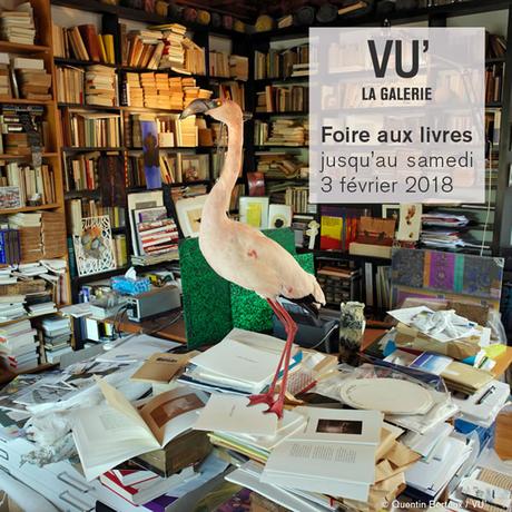 Foire aux livres à la Galerie VU’