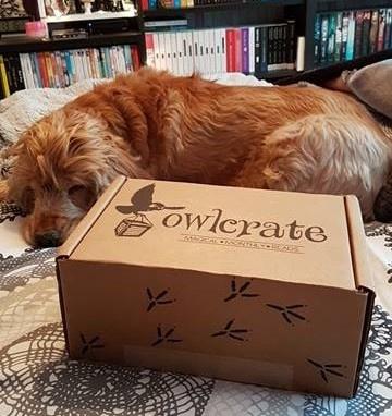 Unboxing Owlcrate (n°6)