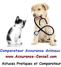 comparateur assurance animaux 