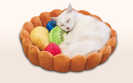Japon : un panier pour chat « tarte aux fruits »