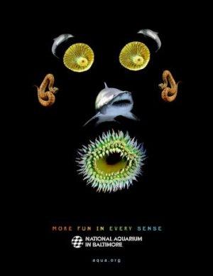 JEUD’ART et D’HUMOUR : Vernissage…