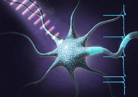MÉMOIRE ÉPISODIQUE : L’affinement neuronal ou l’œuvre de quelques neurones hippocampiques