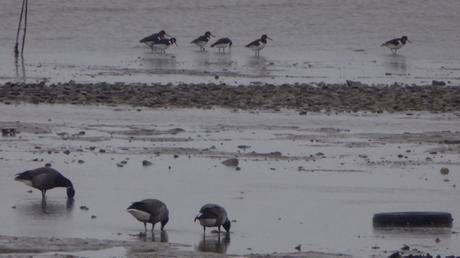 Un jour le jour reviendra …