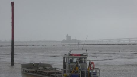 Un jour le jour reviendra …