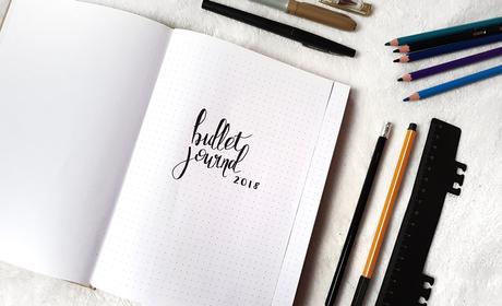 Bullet journal #1  Mon Set up 2018 + Janvier sous les flocons de neige