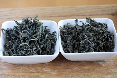 Deux wulong de Morokozawa, cultivar Kanaya-midori avec et sans torréfaction