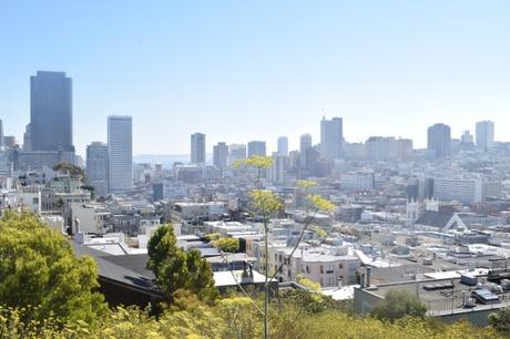 Les meilleurs points de vues sur San Francisco