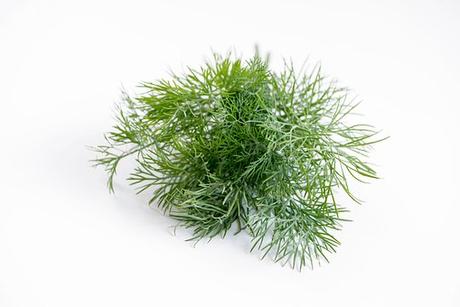 Les herbes aromatiques (6)