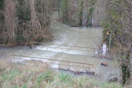 Que d'eau ! 2 moret 24 janv 2018 011.jpg
