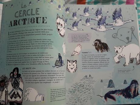 Feuilletage d'albums #70 : spécial ATLAS ♥ ♥ ♥ - Atlas pour aventuriers - Mon atlas illustré Feuilletage d'albums #70 : spécial ATLAS ♥ ♥ ♥ - Atlas pour aventuriers - Mon atlas illustré