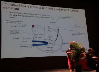 Matinée des oenologues 2017. 6. Matinée oenologues 2017.