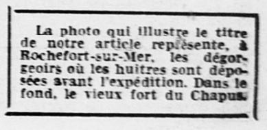 L’huître et le saucisson L’huître et le saucisson