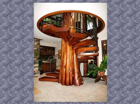 Divers - Le bois - 1