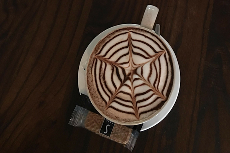 5 idées pour s'occuper sur Narbonne quand il pleut