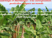 Guadeloupe Martinique surexposition pesticides unique monde…
