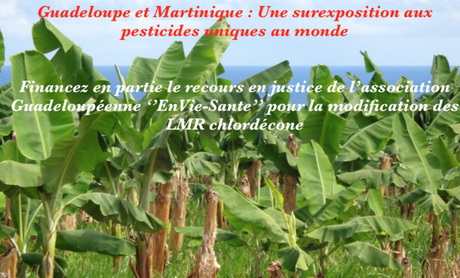 Guadeloupe et Martinique : une surexposition aux pesticides unique au monde…
