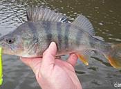 Retour plaisant Villerest