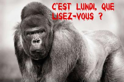 C’est lundi, que lisez-vous ?